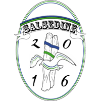 salsedine